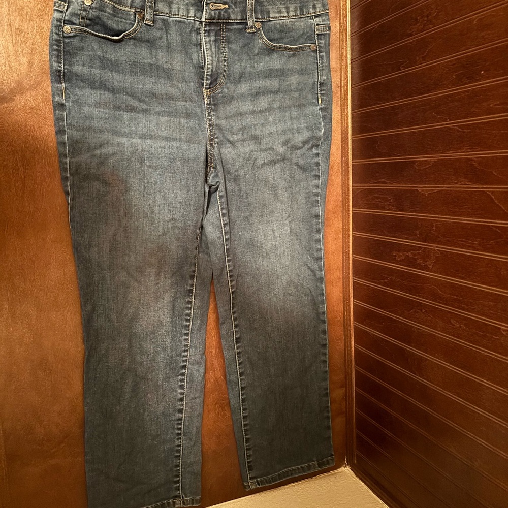 Talbots Women's Straight Leg Blue Jeans